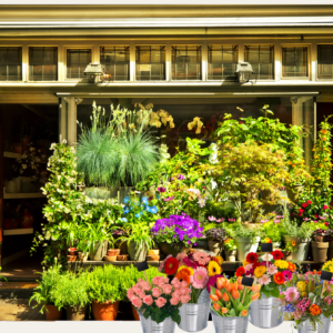 Bloemenwinkel met bloemen en planten