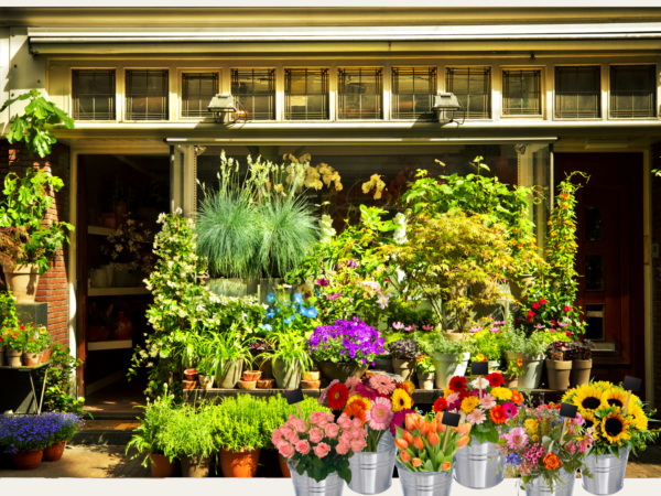 Bloemenwinkel met bloemen en planten