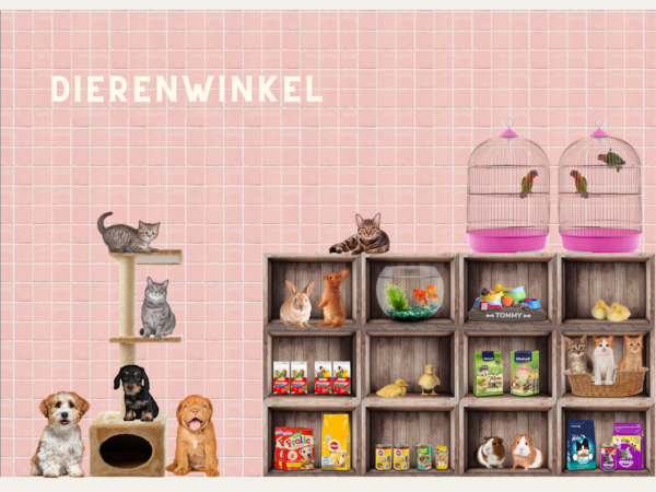 Dierenwinkel met honden, poezen en konijnen