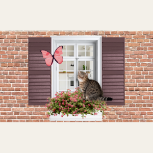 Beleefpaneel raam met poes en vlinder