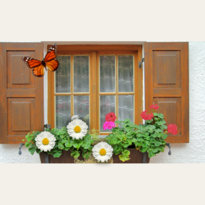 Beleefpaneel raam met bloemen en vlinder