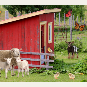 beleefpaneel met schuur, schaap, vogels, geit, kuikens en vlinders