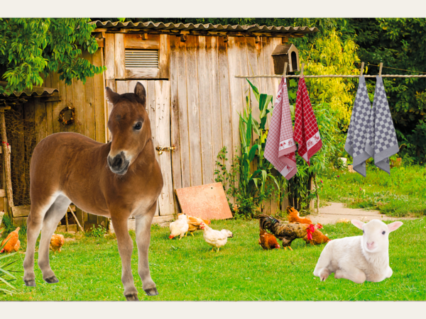 Boerderijpaneel met schuur, ezel, schaap en kippen