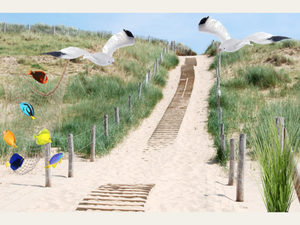 beleefpaneel strand met meeuwen