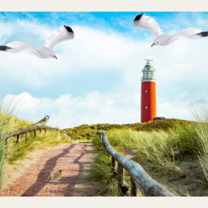 Beleefpaneel strand met meeuwen en vuurtoren