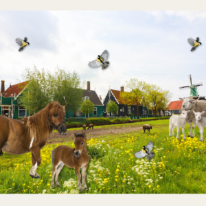 Weiland met paarden, schaap en vogels